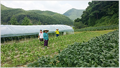 경남